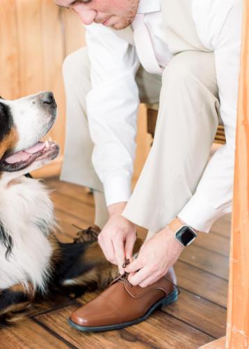 Groom & Best Dog 