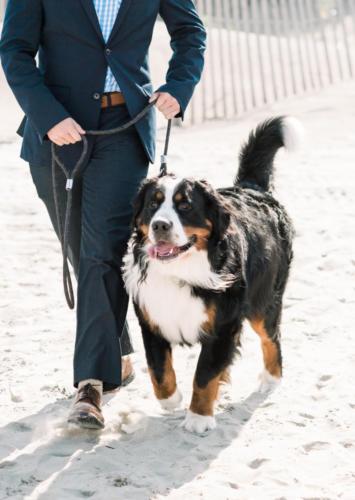 Ring Bearer Beau